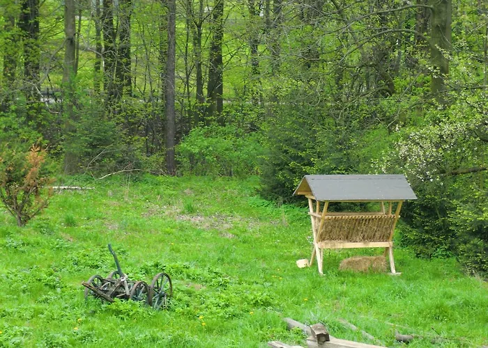 Holiday home Lawendowa Dolina