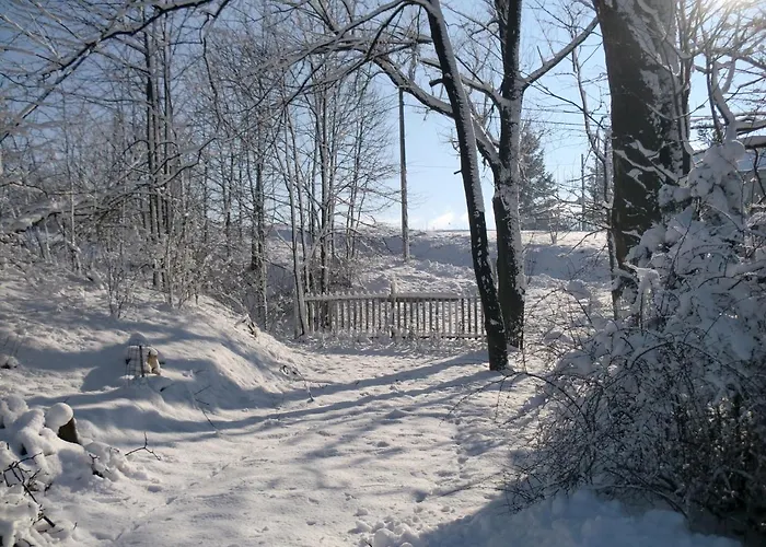 Lawendowa Dolina אוסטראון